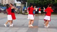 经典双人舞视频 交谊对跳双人舞广场舞