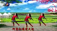 雨亭广场舞《阿爸的草原》蒙古三步舞 编舞：凤凰六哥