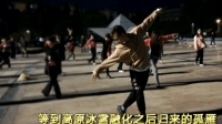 刀郎的经典《西海情歌》90后小伙跳广场舞太完美了