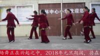 广场舞欣赏: 枫林新村金子山舞蹈队