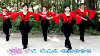 广场舞《今夜舞起来》由华语流行歌手张冬玲演唱 带歌词字幕