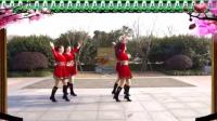 双人舞《情人桥》广场舞视频教学(87影音)