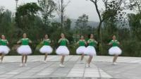 杨艺广场舞视频 海燕鬼步广场舞 老年广场舞视频