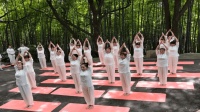 你知道瑜伽舞吗? 既能释放压力又能瘦身, 简单好学适合中老年人!