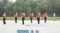 广场舞教学视频《最炫民族风》