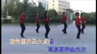 广场舞 相约北京 26步.