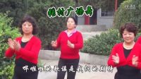 张兰镇张村广场舞-最炫民族