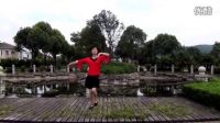 艺春广场舞  （视频）  渴望你的爱