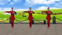 健身舞《中国美草原美》初级入门健身舞 点子步