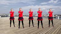 最流行的32步广场舞《闯码头》简单好学一看就会动感欢快