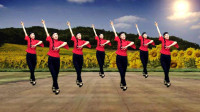 零基础48步广场舞《社员都是向阳花》真实在，刘紫玲演唱，大家心里都乐开了花