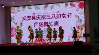 文安县庆祝三八妇女节广场舞汇演《亲爱的你在哪里》夏村红日东升舞蹈队 2019年