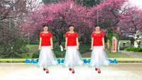 红儿最新广场舞《三月的小雨》细雨蒙蒙里的青春美女 有分解，红儿演示制作