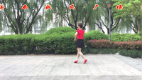 陕西秋凤广场舞舞动旋律《荷东的土高》步子舞16步