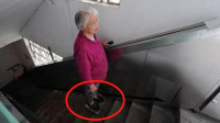 中国小伙发明爬楼神器，老人不动腿轻松上下楼，出门跳广场舞更方便