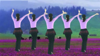 草原情歌广场舞《美丽的牧羊姑娘》节奏动感，舞姿欢快，好听好看！