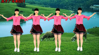 养眼藏族舞《心花开在草原上dj》广场舞 简单大气，多看几遍你也会跳！