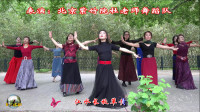 紫竹院广场舞——鸿雁，跳的太美了！