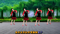 吕芳广场舞《月光下的凤尾竹》傣族风格三步舞附分解