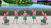 福建阿梅儿广场舞《红枣树》流行简单32步教学