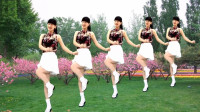 《桃花运》杨钰莹版 简单3步踩健身广场舞