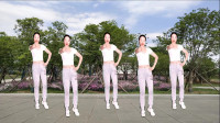 广场舞《0.3秒》32步动感流行时尚步子舞 7