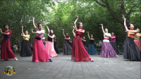 紫竹院广场舞《月亮》，正在学习的一支舞