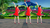 网络热歌广场舞《野花香》劲爆动感，豪迈大气，诱人的32步