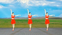 情歌16步广场舞《桃花情》初学者舞步，简单好看又好学！