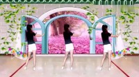2019热门舞蹈视频《给不了你什么》简单易学广场舞视频