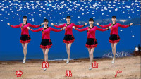 陕北民歌广场舞《妹妹的山丹花》歌声嘹亮，好听极了！