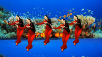小慧广场舞《珊瑚颂》60年代的经典歌曲婉转动听，柔美大气令人醉
