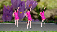 热门经典歌曲《九妹》32步广场舞，优美大气，非常好看
