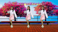 网红步子舞32步《甜甜甜》DJ何鹏版阿裙广场舞