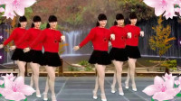 经典广场舞《唱山歌来》在唱刘三姐 创新混搭风格水兵舞 附分解