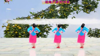 阳光美梅广场舞【红枣树】古典形体舞-编舞：雨夜