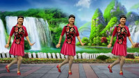 武丽萍广场舞《一首想家的歌》32步在家跳美美哒，强身健体