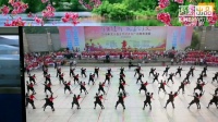 2018年龙川县全民健身日广场舞表演赛集体表演《山谷里的思念》航拍视频