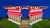精选广场舞《欢乐中国年》队形整齐，画面太美！