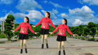 柔情广场舞《花蝴蝶》，舞步简单好学又好看，好听好看！