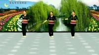 河北省景县青兰乡李章村王彩兰广场舞《月亮湾湾在天边》32步。