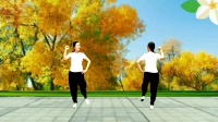 乐山暖阳广场健身舞~简易30步《迈克尔杰克逊》原创