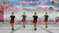 阳光美梅广场舞【一个家一个妈】原创时尚步子舞-正面演示-编舞：美梅