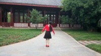刘满广场舞《美丽的草原我的家》背面