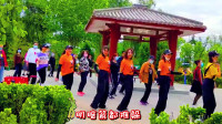 广场舞《站在草原望北京》，音乐动感喜庆，舞美人更美！