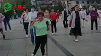 广东东莞大妈：这大姐是有多钟爱广场舞，拄着拐杖也要来跳舞