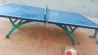 276晨练《学打乒乓球》-苏飘逸广场舞
