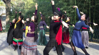 蒙族舞《草原情》大气舒展烘托气氛，广场舞，编舞：花与影舞蹈