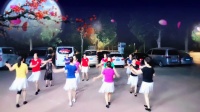 河北沧州女人花舞蹈队《人生何处不相逢》原创双人对跳恰恰32步广场舞