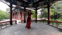广场舞 想西藏-青儿老师（北京）舞蹈集锦之五